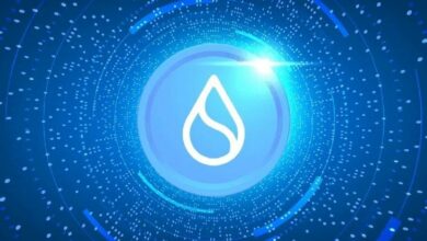 Sui تستضيف WBTC الأصلي لتعزيز السيولة العابرة للسلاسل بسرعة فائقة