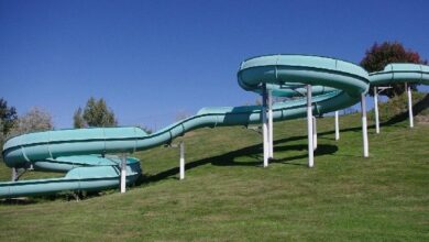 سولانا وإكس آر بي وإيثيريوم تواصل خسائرها مع عودة دعم البيتكوين عند 91 ألف دولار إلى الواجهة