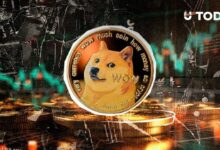 مليونيرات الدوجكوين يشترون 480 مليون عملة في 48 ساعة.. سعر الميم كوين يتفاعل بمفاجأة