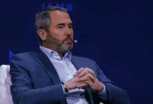 رئيس ريبل يطلق حملة عطلات لمكافحة عمليات الاحتيال