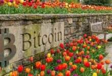 نهاية الجدل: محلل بلومبيرج يقطع الشك باليقين حول علاقة هوس التوليب بالبيتكوين
