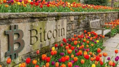 نهاية الجدل: محلل بلومبيرج يقطع الشك باليقين حول علاقة هوس التوليب بالبيتكوين