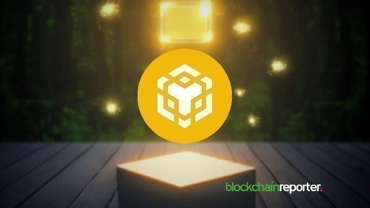 "ASTER" تقود تدفق رأس المال على شبكة BNB بينما يُعزز محرك سيولة DeFi نمو الشبكة