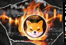 حرق 34,397,753 عملة SHIB مع ارتفاع معدل الحرق بنسبة 274%: التفاصيل الكاملة