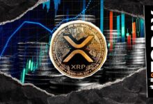 شبكة XRP تترقب طفرة بنسبة 400%: لكنها قد لا تنعكس على السعر