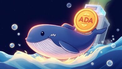 تحويل 750 مليون عملة ADA إلى Binance: دلالات حركة الحوت الكبير على مستقبل كاردانو