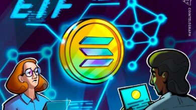 صناديق سولانا ETF تحقق تدفقات استثمارية متتالية لمدة 7 أيام رغم انهيار السعر