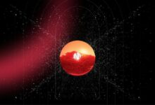 ماجافي وأفالانش يحدثان ثورة في مجال الترفيه: ميلاد أول منصة إطلاق لإبداعات الترفيه على السلسلة