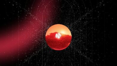 ماجافي وأفالانش يحدثان ثورة في مجال الترفيه: ميلاد أول منصة إطلاق لإبداعات الترفيه على السلسلة