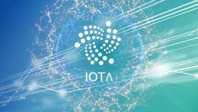 دومينيك شاينر: IOTA تُوضَع كعمود فقري لصناعة التجارة العابرة للحدود بقيمة 30 تريليون دولار