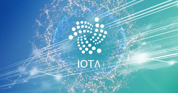 دومينيك شاينر: IOTA تُوضَع كعمود فقري لصناعة التجارة العابرة للحدود بقيمة 30 تريليون دولار
