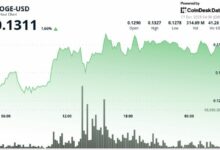 دوجكوين يخرج من النطاق السعري مع تصاعد ضغوط البيع عند مستويات حرجة
