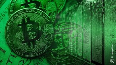 عُمال تعدين العملات الرقمية في منطقة القوقاز الروسية يواصلون العمل رغم الحظر