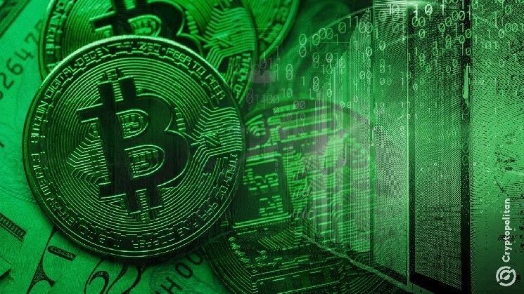 عُمال تعدين العملات الرقمية في منطقة القوقاز الروسية يواصلون العمل رغم الحظر