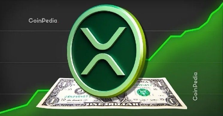 حصري: خبير يصف توقع وصول سعر XRP إلى رقمين بأنه "غير واقعي" رغم تجاوز صناديق ETFs حاجز المليار دولار