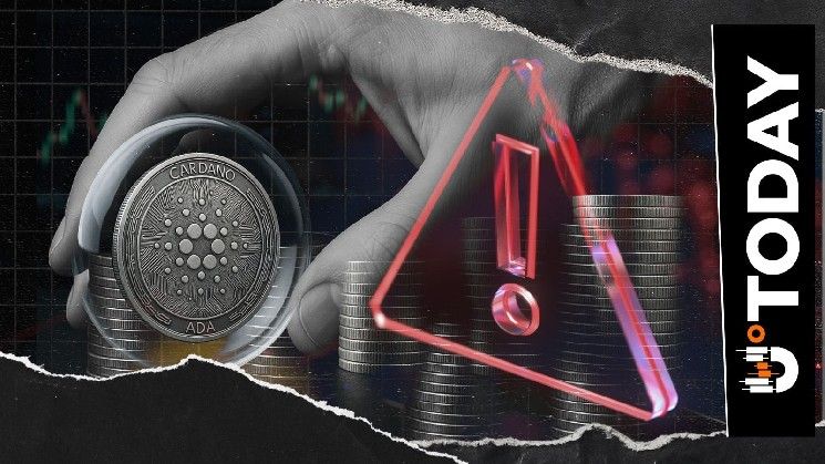 لا، رأس هيدرا كاردانو قد لا يكون آمناً بنسبة 100%، وهذا هو السبب