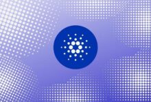 كاردانو تستهدف تحقيق 3 مليارات دولار في القيمة الإجمالية المقفلة ومليون عنوان نشط بحلول 2030