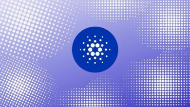 كاردانو تستهدف تحقيق 3 مليارات دولار في القيمة الإجمالية المقفلة ومليون عنوان نشط بحلول 2030