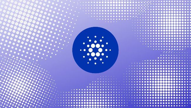 كاردانو تستهدف تحقيق 3 مليارات دولار في القيمة الإجمالية المقفلة ومليون عنوان نشط بحلول 2030