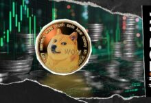 "أعلى معدل ذكاء في العالم يكشف عن مفاجأة: 'أنا معجب كبير بعملة Dogecoin'"