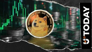 "أعلى معدل ذكاء في العالم يكشف عن مفاجأة: 'أنا معجب كبير بعملة Dogecoin'"