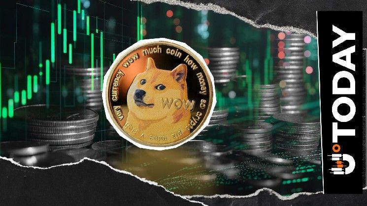 "أعلى معدل ذكاء في العالم يكشف عن مفاجأة: 'أنا معجب كبير بعملة Dogecoin'"