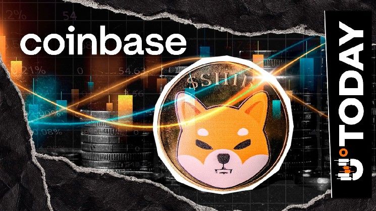 2.2 تريليون SHIB تغادر منصة كوينبيز وسط إعداد صعودي نادر لسعر شيبا إينو: التفاصيل الكاملة