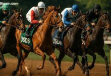 قطاع العملات المستقرة يعود بقوة والسوق يقترب من ذروة قياسية جديدة