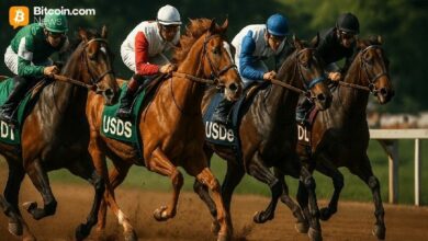 قطاع العملات المستقرة يعود بقوة والسوق يقترب من ذروة قياسية جديدة