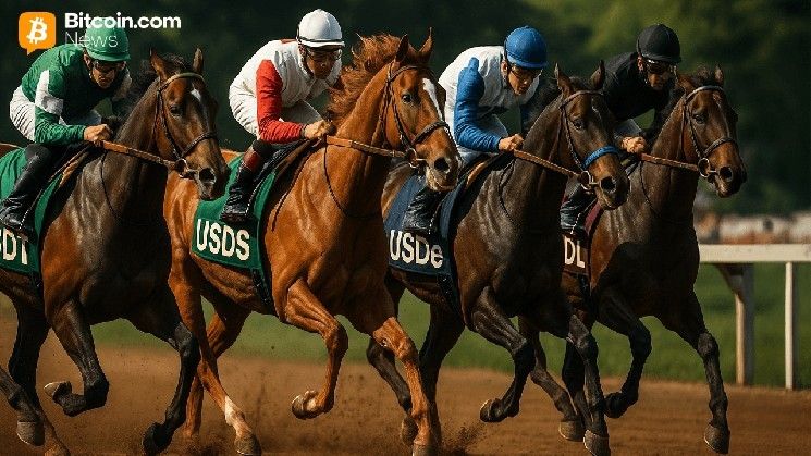 قطاع العملات المستقرة يعود بقوة والسوق يقترب من ذروة قياسية جديدة