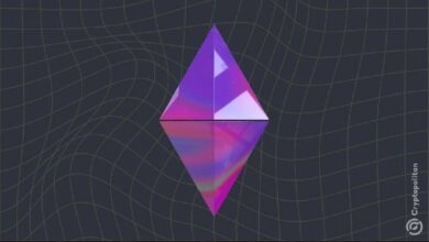 حوت البيع على المكشوف يعود بإيداع 70 مليون دولار من USDC بعد إضافة ETH إلى Aave