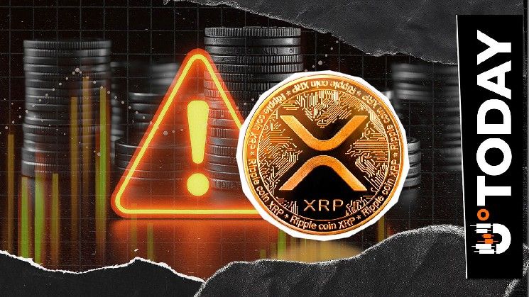 تنبيه عاجل لمشغلي عُقد XRP: السبب وراء الإعلان