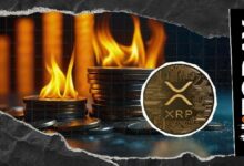 مؤشر حرق XRP يتجه نحو الصفر: هل انتهى الصعود؟