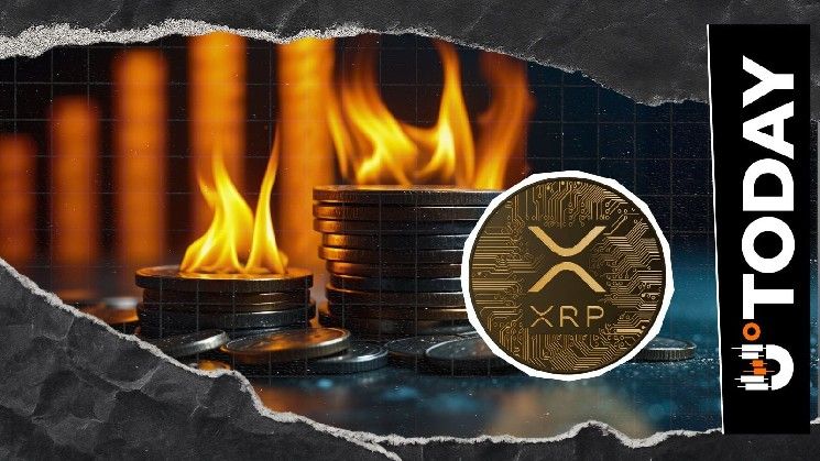 مؤشر حرق XRP يتجه نحو الصفر: هل انتهى الصعود؟
