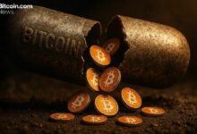 في خضم اضطرابات السوق نوفمبر.. محافظ بيتكوين خاملة تتحرك ونقل 2443 عملة