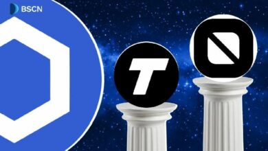 تشينلينك ترحب بـ Tempo و Codatta في شبكة CCIP