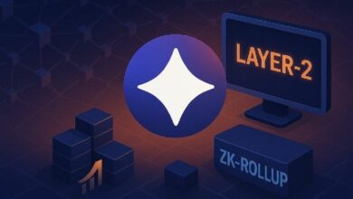 أفضل شبكات الطبقة الثانية: دليل مقارنة شامل