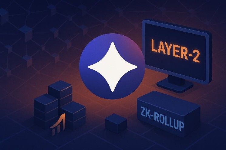 أفضل شبكات الطبقة الثانية: دليل مقارنة شامل