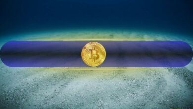 هل يقترب البيتكوين من القاع؟ مؤشرات مبكرة تشير إلى نعم (Bitfinex Alpha)