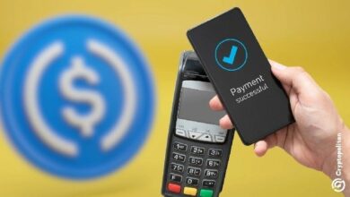 عملات مستقرة تتجاوز باي بال وفيزا في حجم المعاملات الشهرية