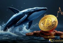 الحيتان تشتري تراجع البيتكوين وسط ذروة الخوف.. إشارة لانعكاس محتمل للسوق