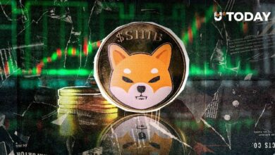 معدل حرق عملة شيبا إينو يرتفع بنسبة مذهلة تصل إلى 3,915,071%
