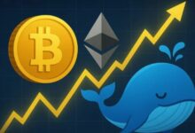 الحوت الذي لا يتوقف عن الشراء: BitcoinOG يرفع رهانه الطويل على الإيثيريوم إلى 280 مليون دولار بعد ارتفاع السعر