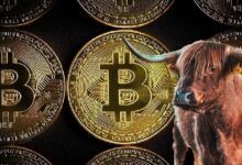 رئيس تنفيذي لشركة بمليار دولار: "تراجع البيتكوين ظاهرة صحية" ويكشف توقعاته لعام 2026