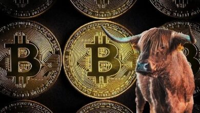 رئيس تنفيذي لشركة بمليار دولار: "تراجع البيتكوين ظاهرة صحية" ويكشف توقعاته لعام 2026