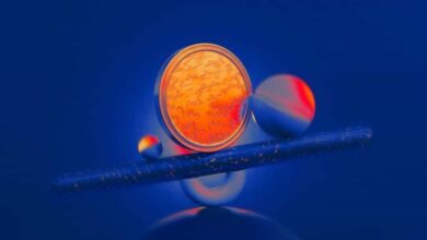 خزائن Babylon اللامركزية تطلق إقراضاً مدعوماً بالبتكوين الأصلي عبر Aave