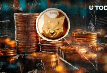 656 مليون SHIB محروقة خلال 24 ساعة: هل يمكن إنقاذ عملة Shiba Inu؟