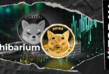 فريق SHIB تحت المجهر؟ مشارك في شبكة Shibarium يوجه إنذارًا حاسمًا