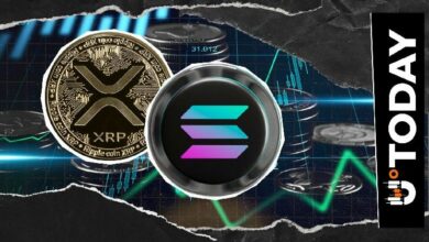 أكبر بورصة لا مركزية على سولانا تنشر تغريدة غامضة عن XRP: التفاصيل الكاملة