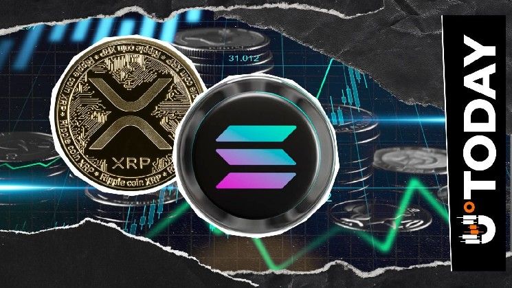 أكبر بورصة لا مركزية على سولانا تنشر تغريدة غامضة عن XRP: التفاصيل الكاملة